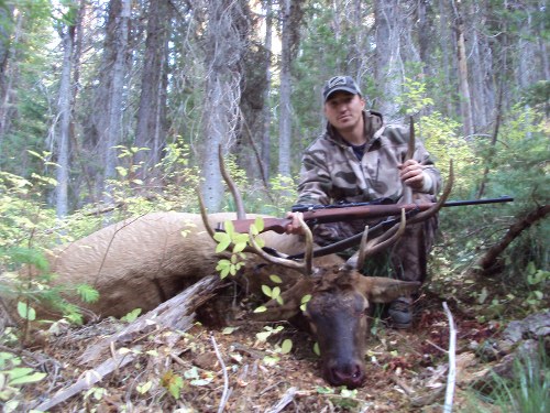 Archery Elk Hunts in Idaho